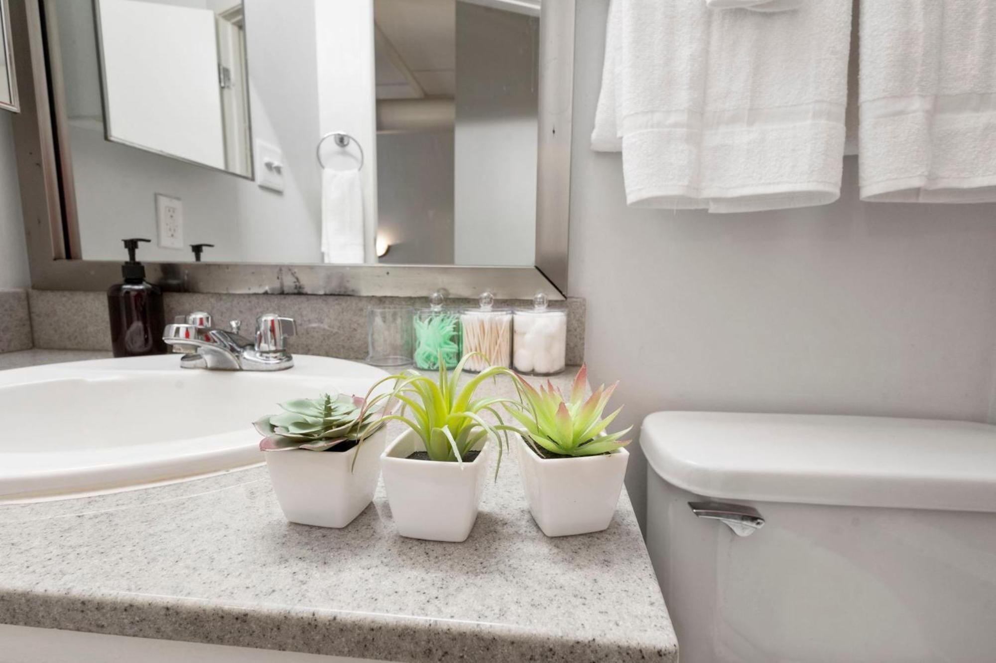 Indy City Loft - Convention Center - Sleeps 7 - Stadium Access Indianapolis Luaran gambar